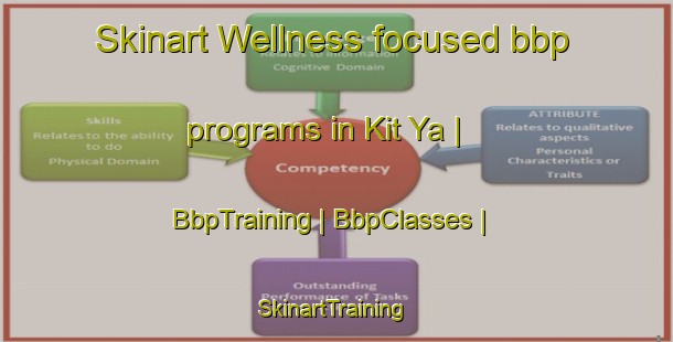 Skinart Wellness-focused bbp programs in Kit Ya | BbpTraining | BbpClasses | SkinartTraining-Russian Federation